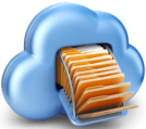 vSanFileServices